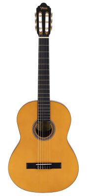 Valencia Series 200 klassieke gitaar 4/4