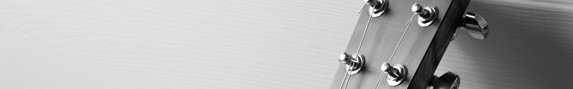 Home page Slider gitaarsnaren